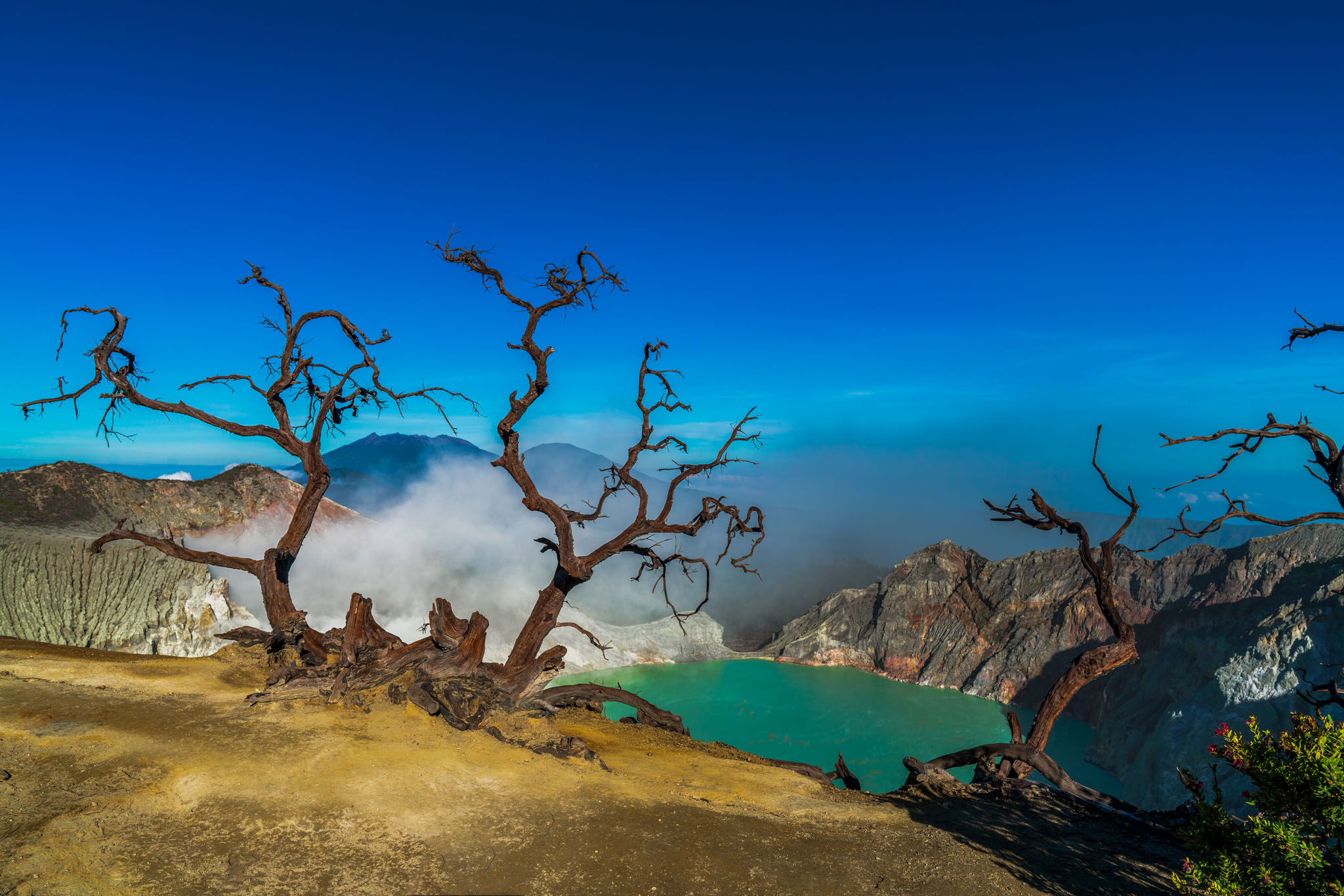 East Java