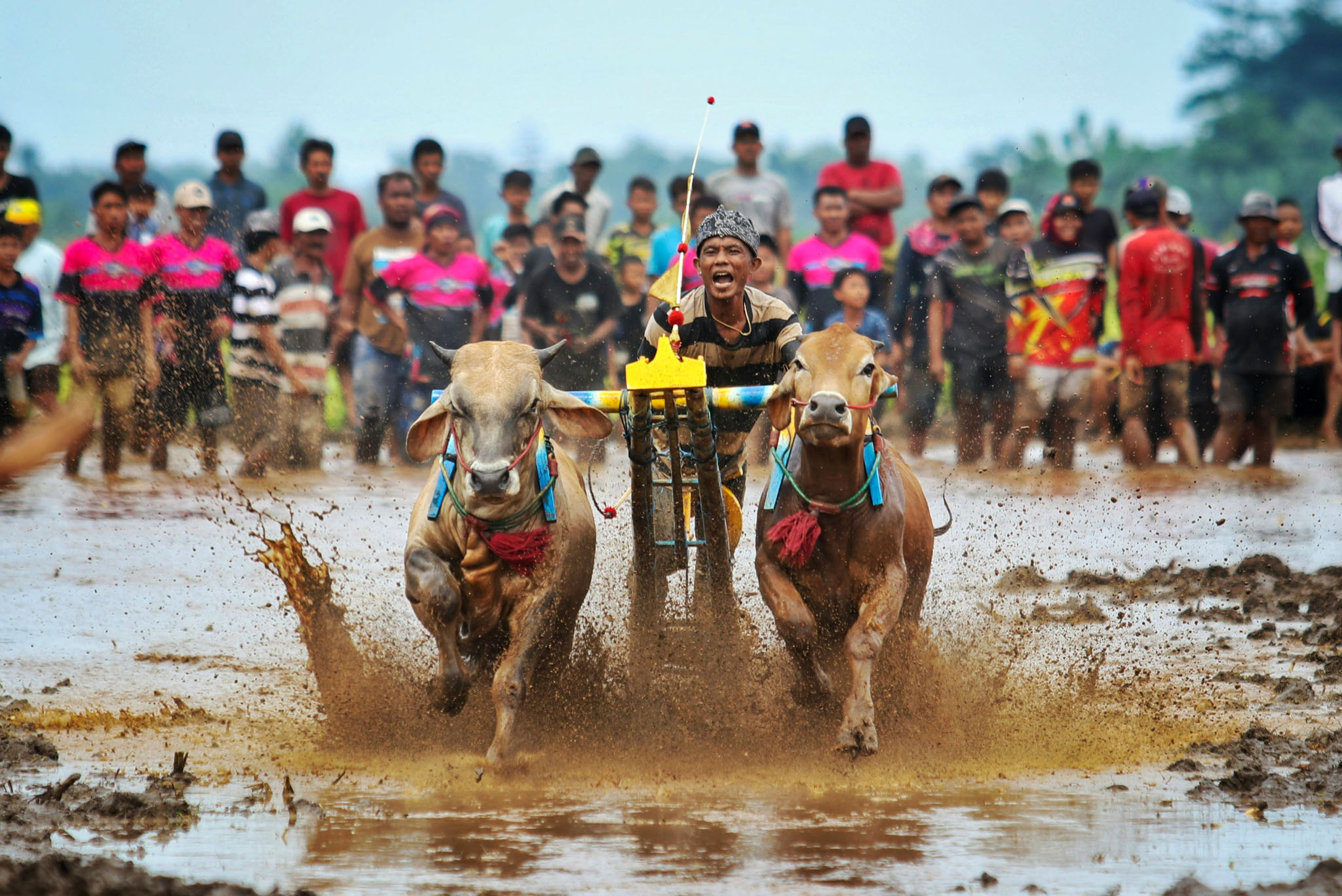 East Java