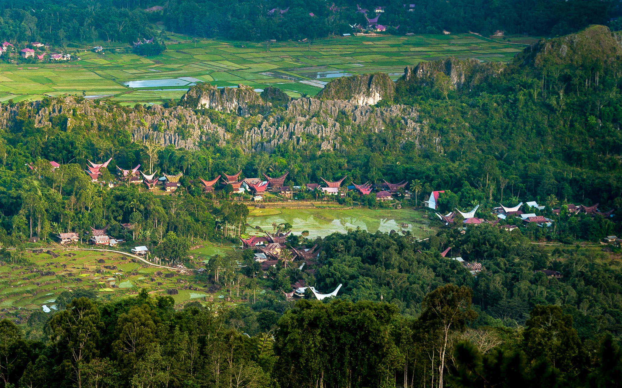 Sulawesi