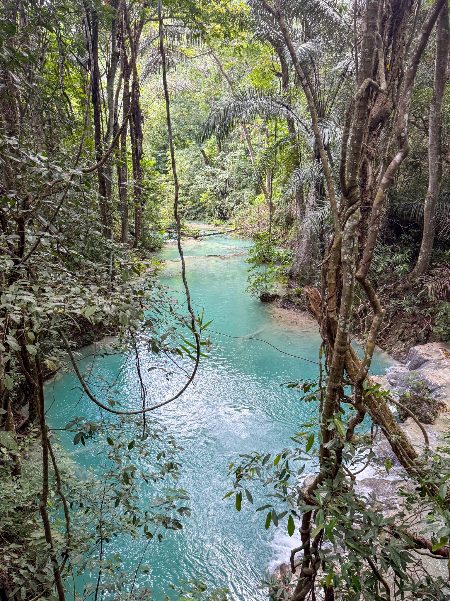 Environment