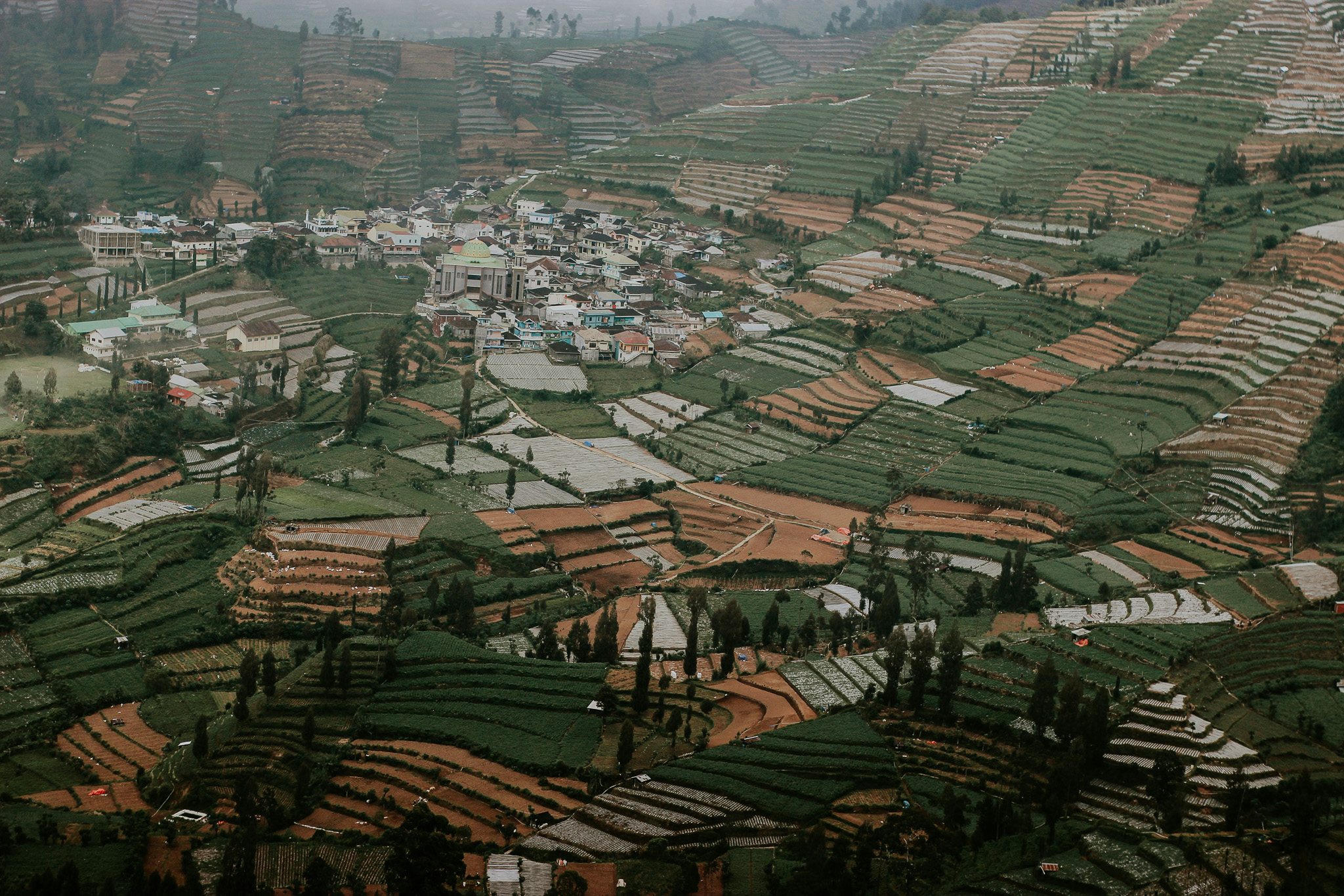 Dieng Plateau Misty Landscapes, Temples