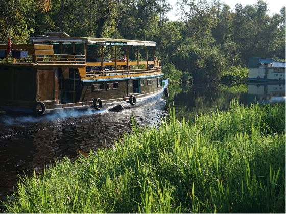 Tanjung Puting National Park